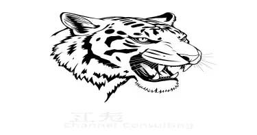 White Tiger with head to the side and mouth open showing teeth and make it a drawing and below the picture place White Tiger Channel Counsulting in bold arial