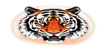 Use the second to last image anand make it a drawing and below the picture place White Tiger Channel Counsulting in bold arial and make the writing black, use the last image and center the picture