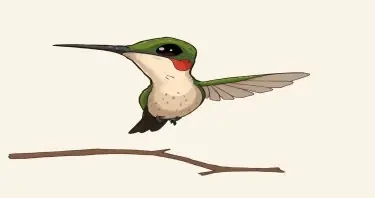 a cartoon drawing of a very sickly, very skinny and extremely sad hummingbird.