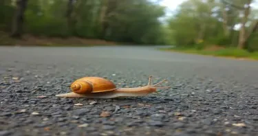 Snails very fast running on the road