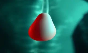 generate an image of a male penis