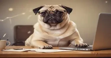 Pug dog with glasses sitting at a desk looking at a laptop screen