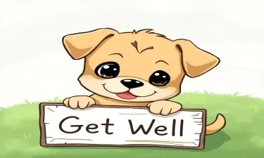 Puppy with sign that says "Get Well"