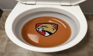 Toilet bowl with nhl Florida Panthers logo at the bottom with brown water