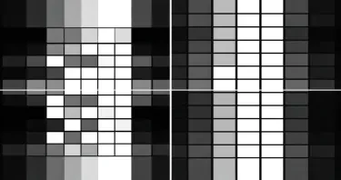 Create black and white image with two grids of total equal area; one with a 10 x10 grid and the other with a 20x20 grid