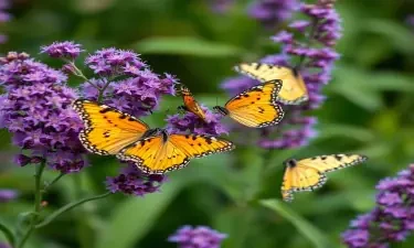 Purple Flowers with butterflies