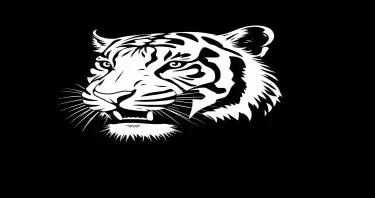 White Tiger with head to the side and mouth open showing teeth and make it a drawing and below the picture place White Tiger Channel Counsulting in bold arial and make the writing black, use the last image and center the picture
