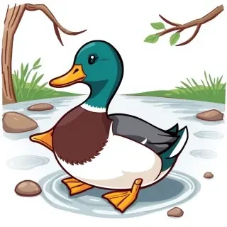 duck, clipart style illustration