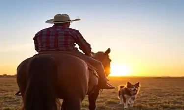 a man wearing a cowboy hat on horseback riding towards the sunset with his small Australian shepherd dog following at his side.