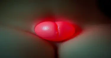 An erotic picture of a vagina